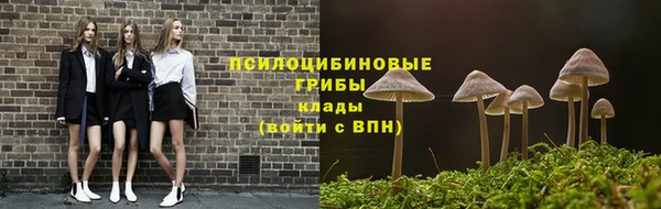 МДМА Богданович