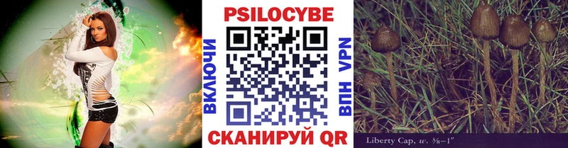 Купить где  Уржум  Псилоцибиновые грибы Magic Shrooms 